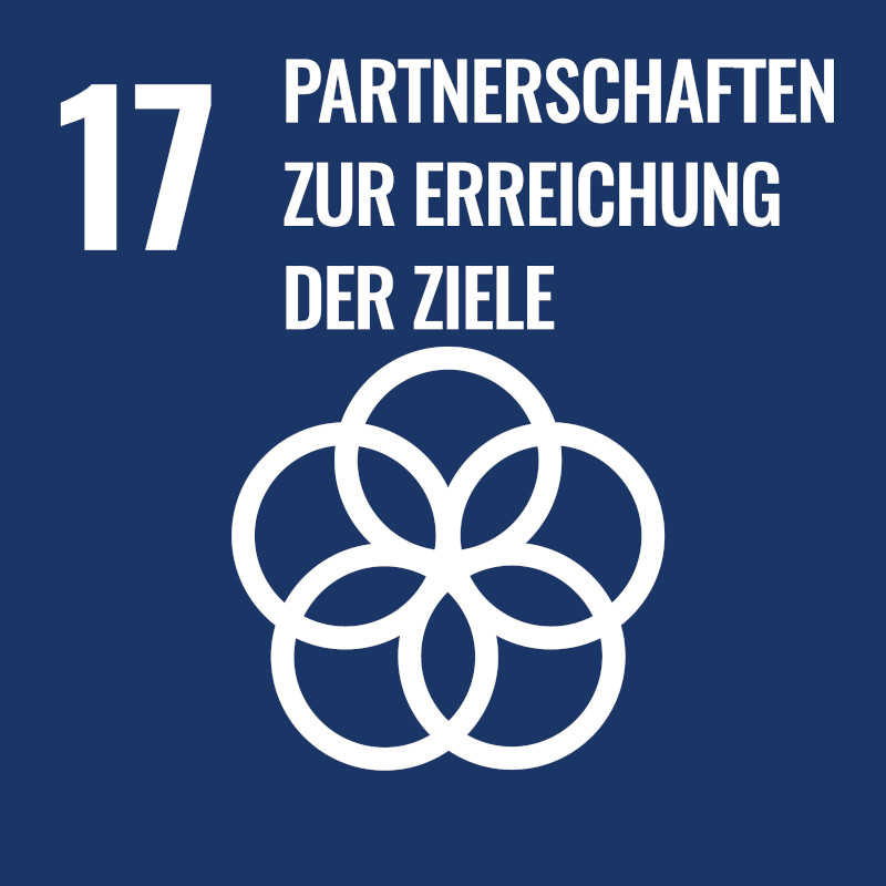 sdg 17 partnerschaft zur erreichung der ziele