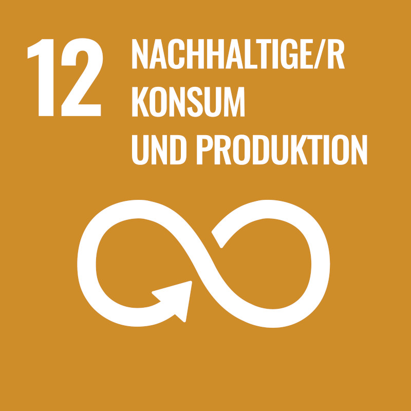 sdg 12 verantwortungsvolle konsum- und produktionsmuster