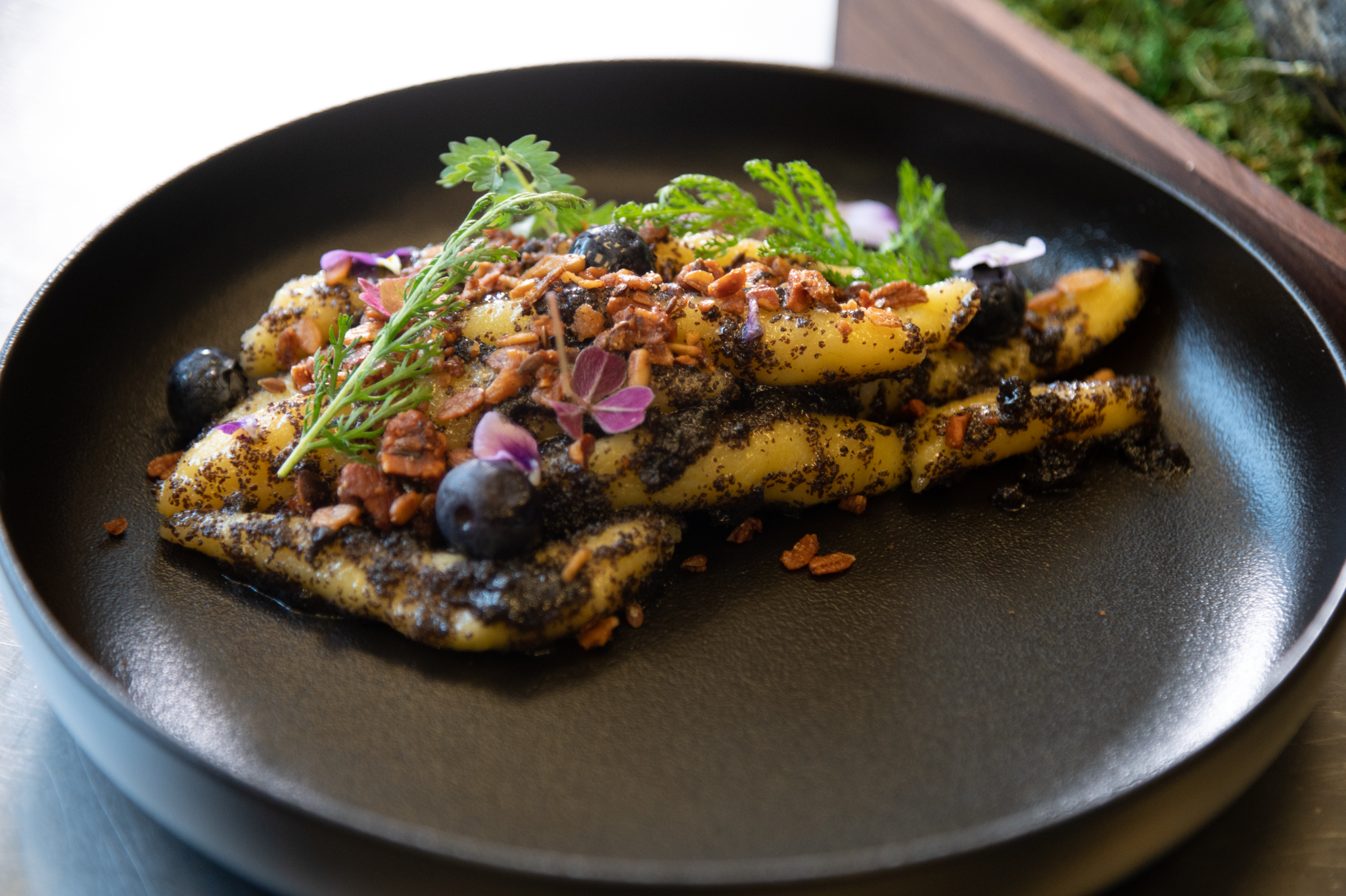 M.Krobath (AustrianNews)