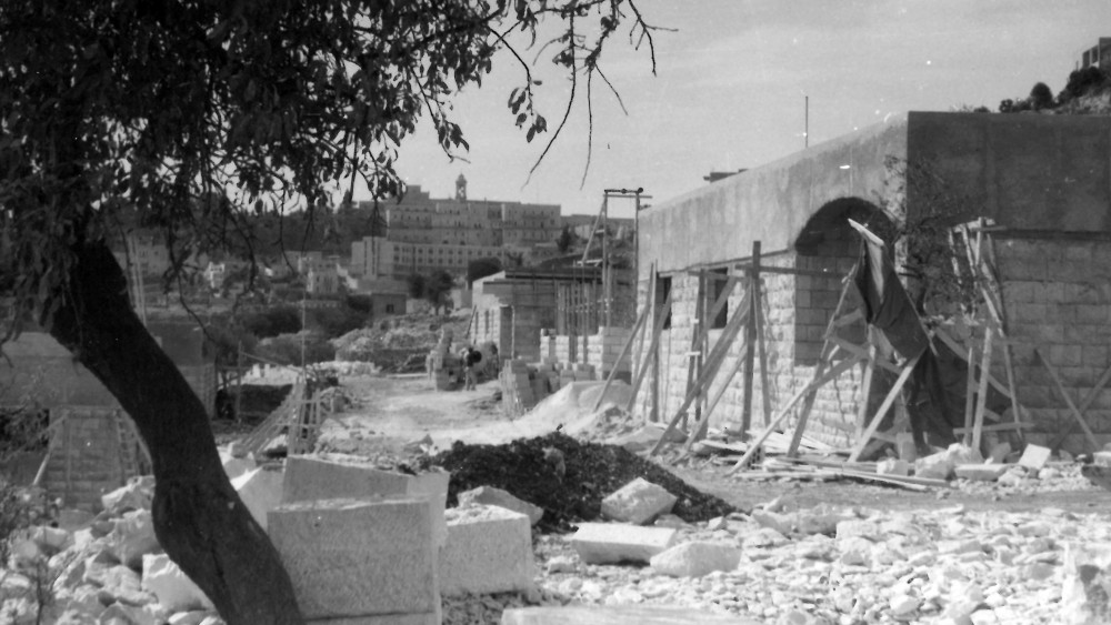 Gebäude in der Bauphase, im Vordergrund ein Baum