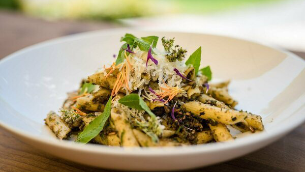 Black Phoenix Positioning