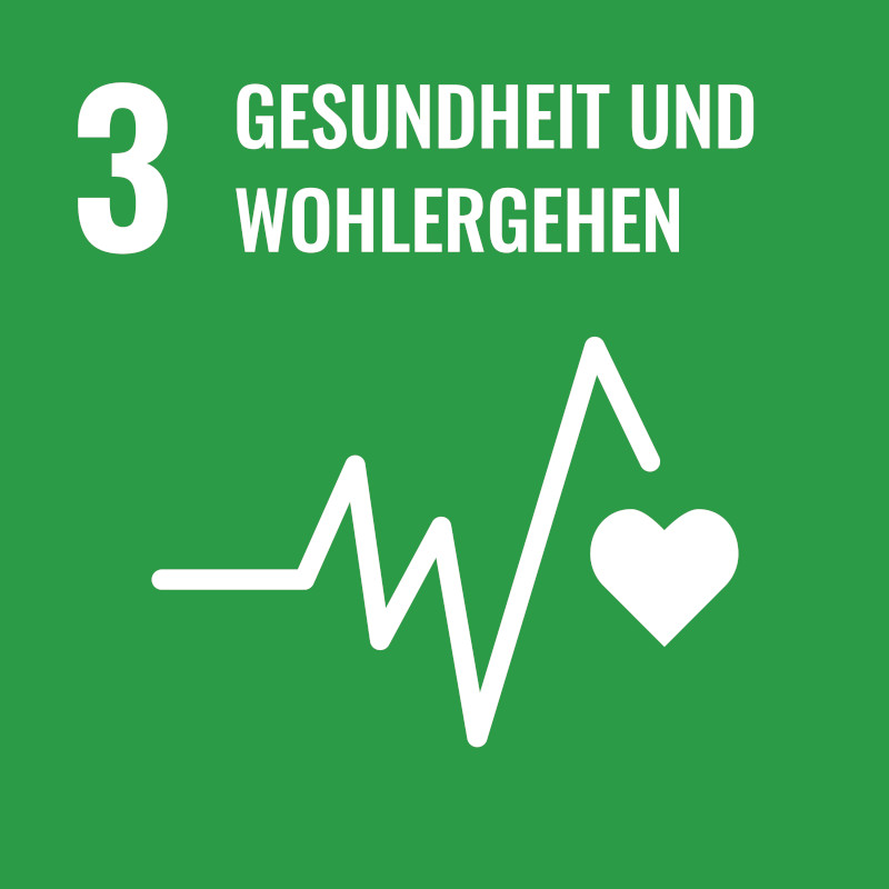 sdg 3 gesundheit und wohlergehen keine armut