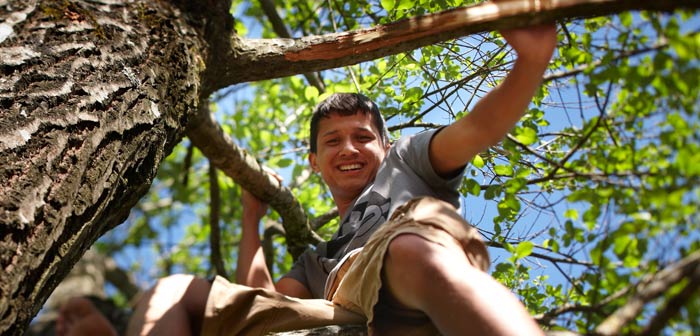 Jugendlicher Flüchtling sitzt auf einem Baum und lacht.