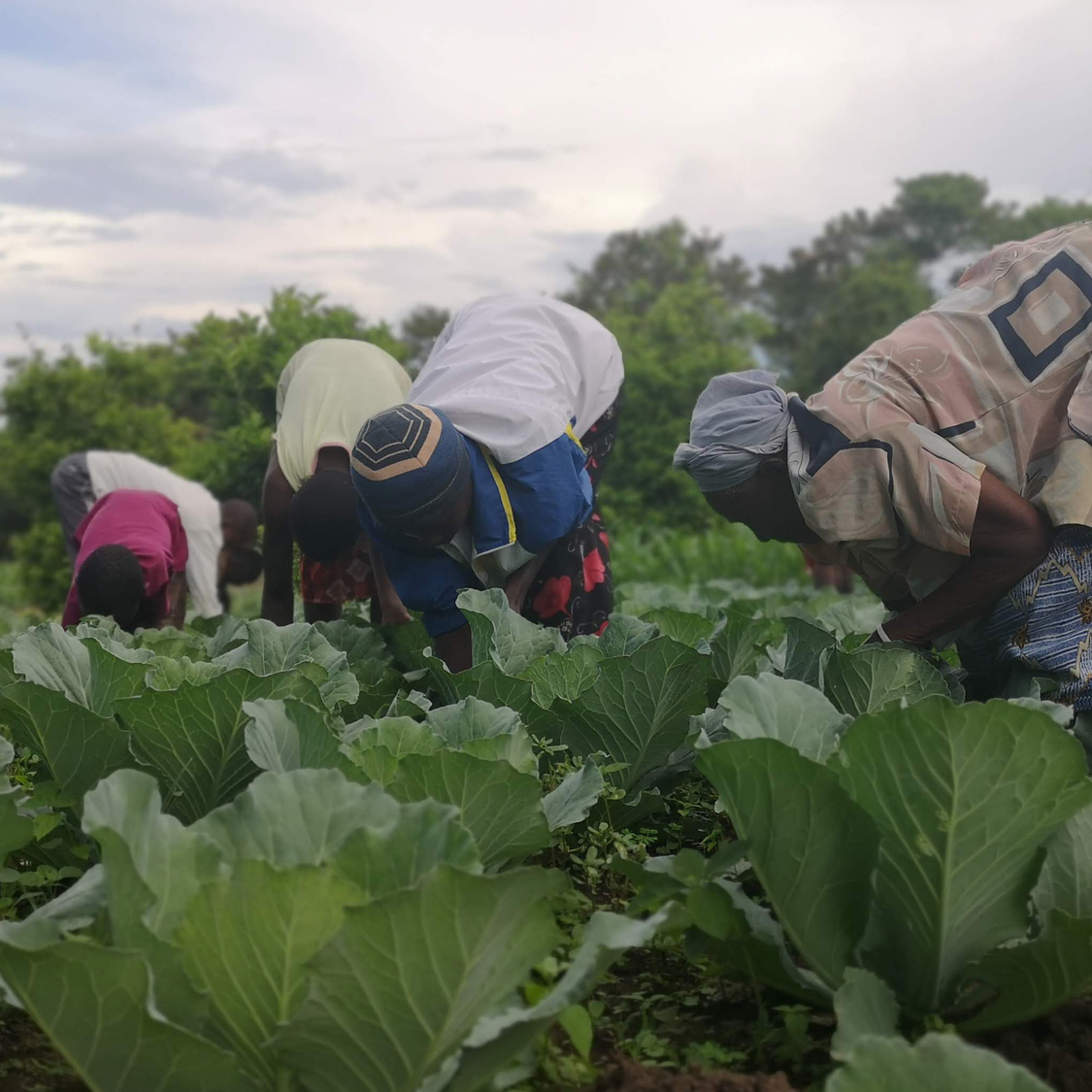 Fabian Haider (SOS-Archiv)