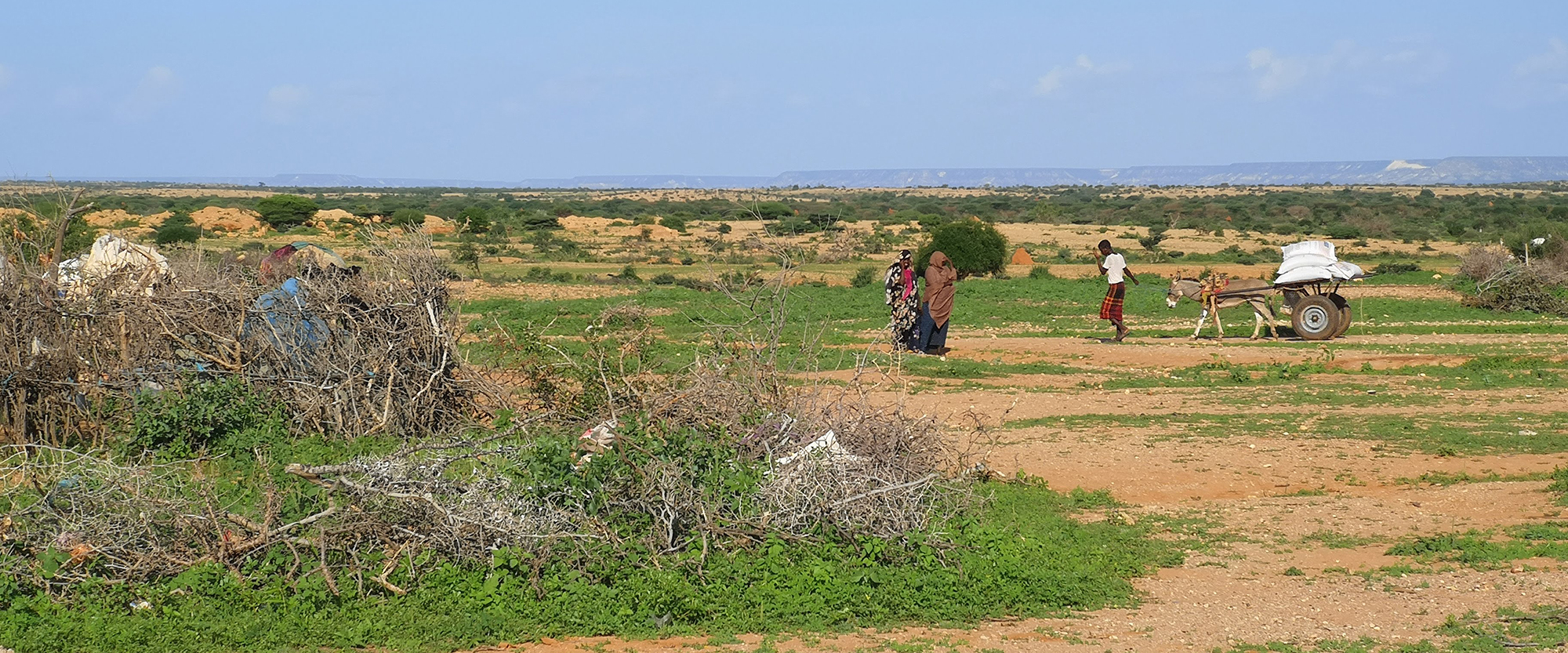 Fabian Haider (SOS-Archiv)