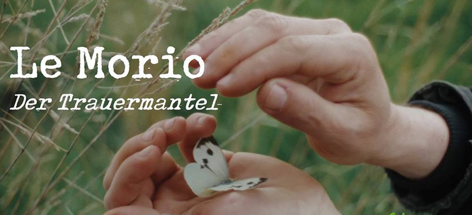Filmplakat "Le Morio"