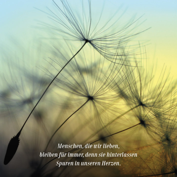 Blumenbillett Spuren im Herzen SOS Kinderdorf