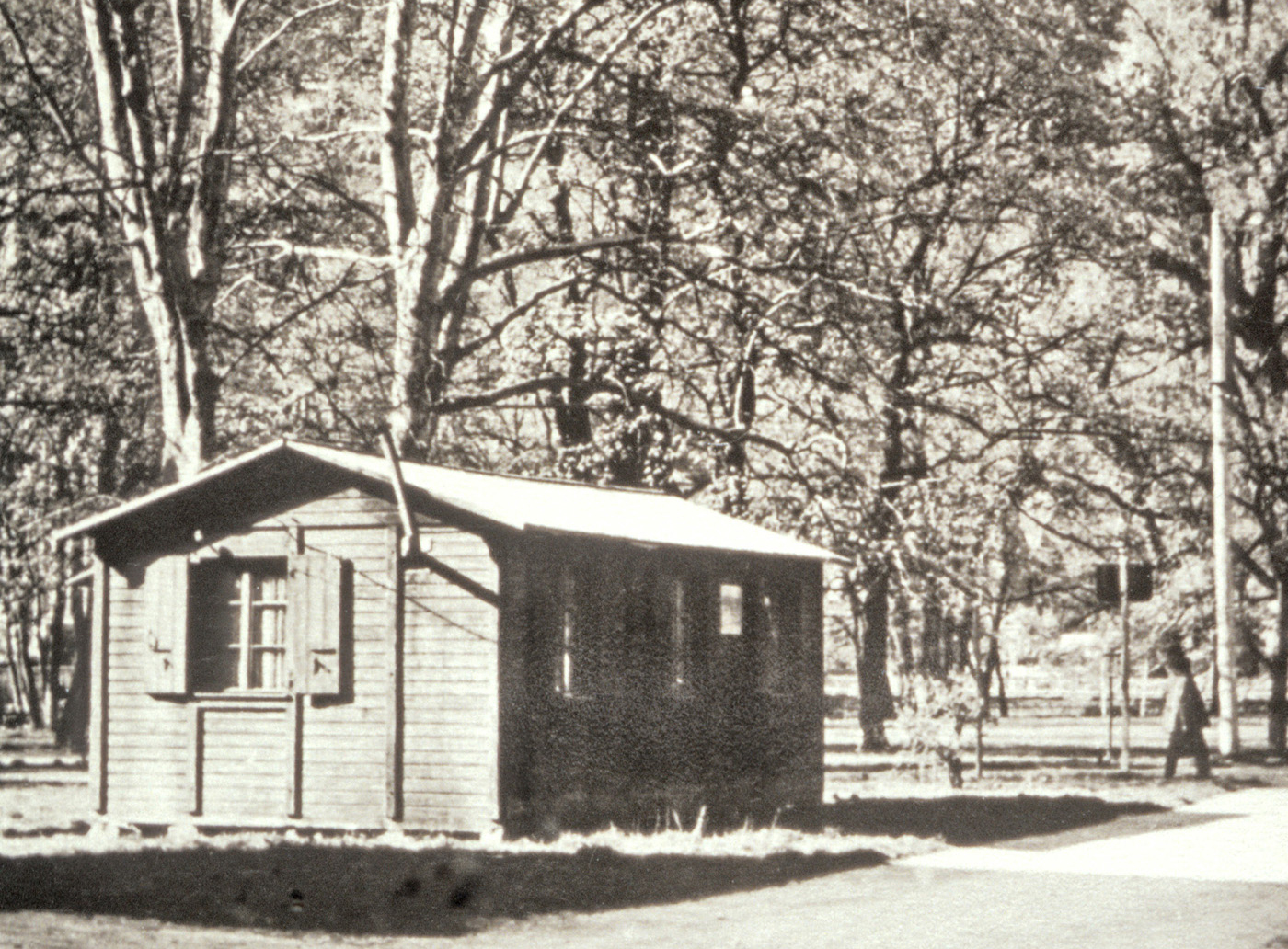 Alte Schwarz-Weiß-Fotografie mit einer Hütte links unten und Bäumen im Hintergrund
