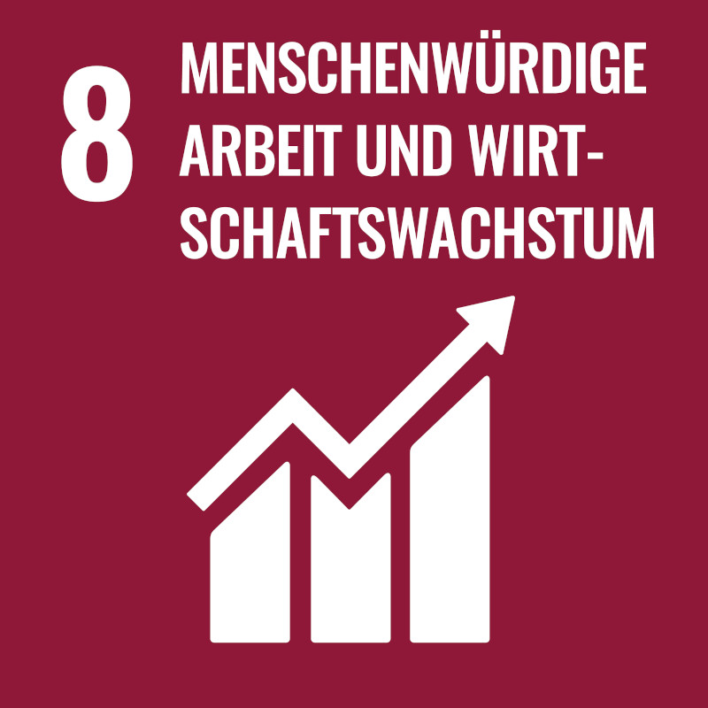 sdg 8 menschenwürdige arbeit und nachhaltiges wirtschaftswachstum keine armut