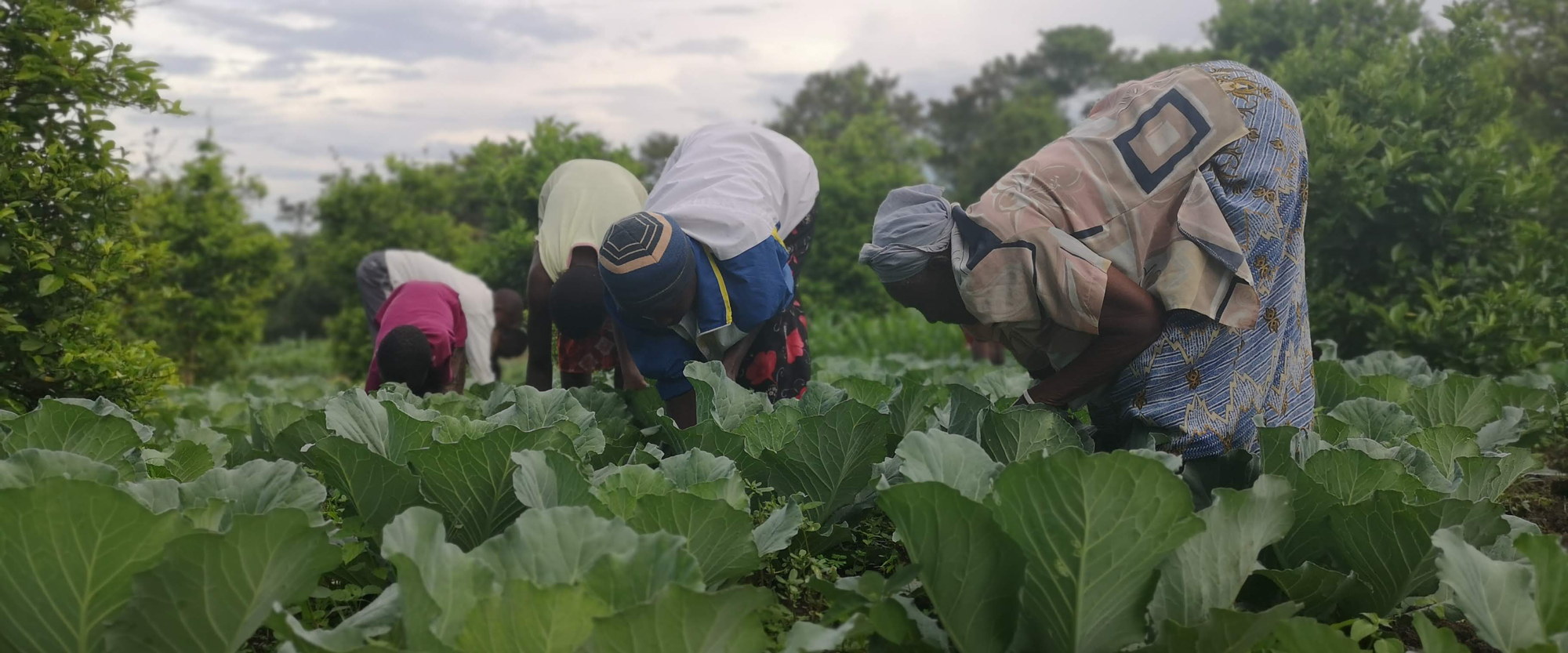 Fabian Haider (SOS-Archiv)